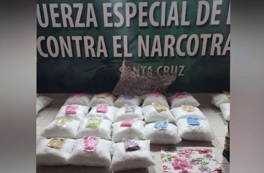 Más de 50 almohadas que contenian 67.000 pastillas de metanfetamina…