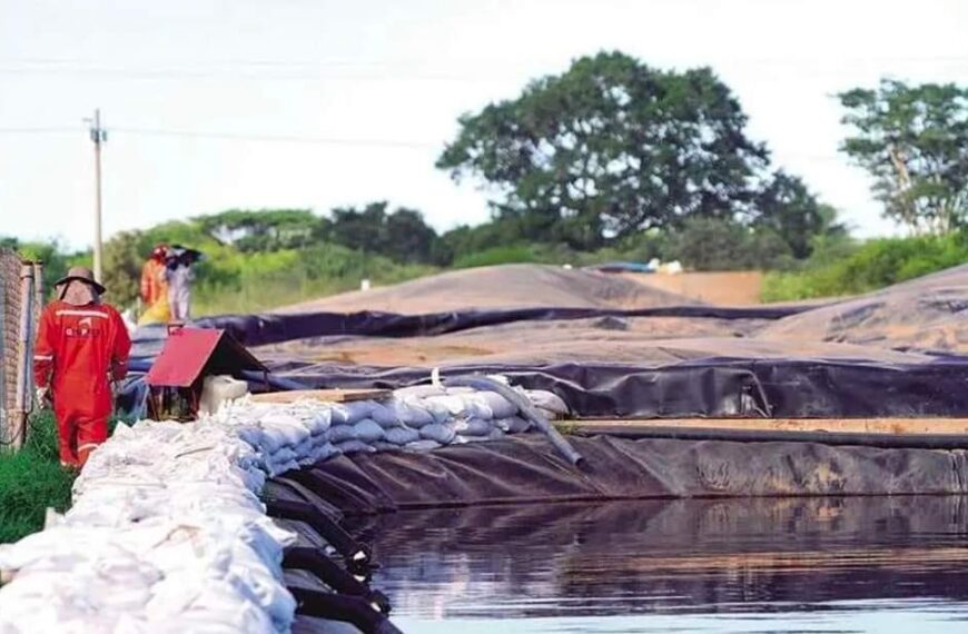 Gobernación multa a operadores por incumplir con la licencia ambiental