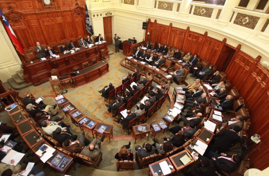 Senadores Chilenos abogan por la libertad de Jeanine Añez y…