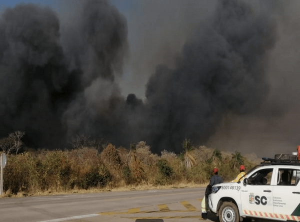 Animales carbonizados y comunidades en alerta por incendios en Roboré