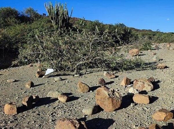 Bolivia sufrió 48 bloqueos de caminos durante el segundo trimestre; la Defensoría pide mejorar la gestión de conflictos