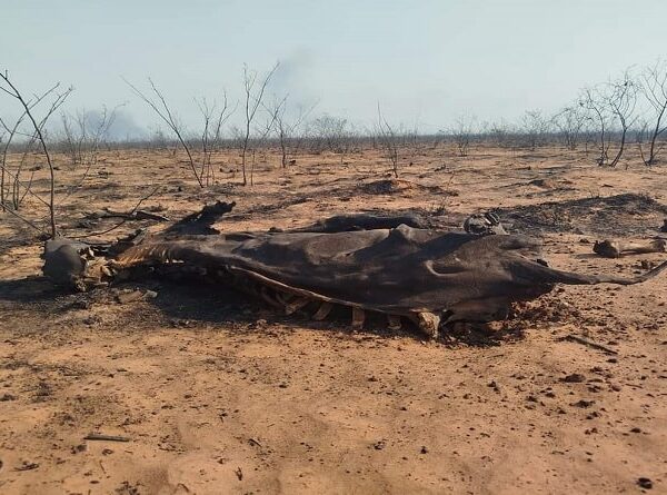 Hallan un vehículo calcinado en la carretera Bioceánica y hay restos óseos en el interior