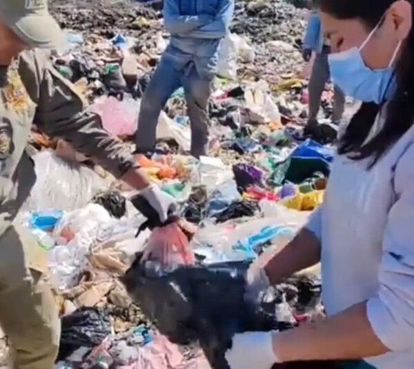 Encuentran a una recién nacida sin vida en la basura.