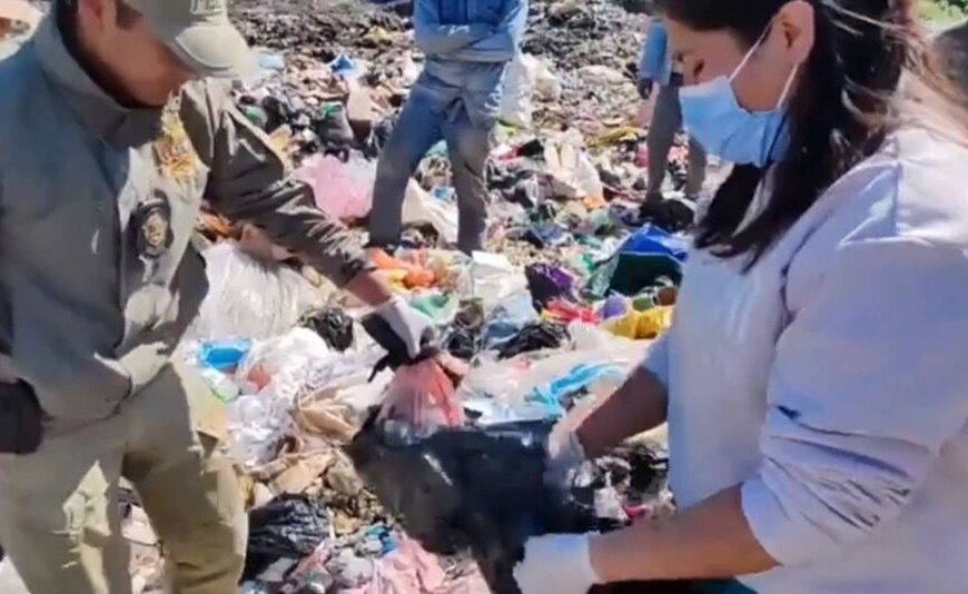 Encuentran a una recién nacida sin vida en la basura.