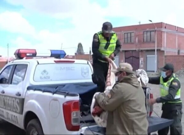 Hallan a dos hombres muertos en vía pública en El Alto