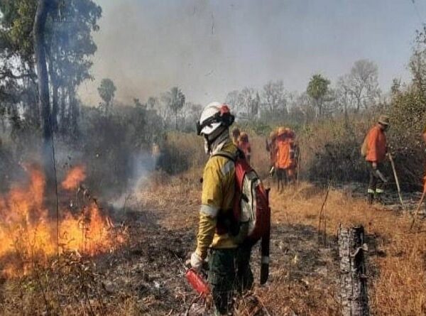 Reportan más de 10 mil focos de calor y Santa Cruz concentra cerca del 90%