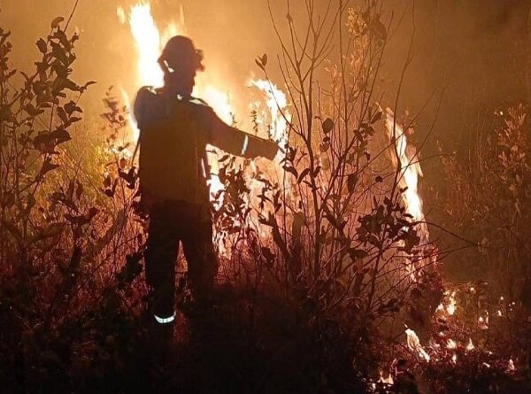 Anuncian una ‘Cumbre contra los incendios forestales’