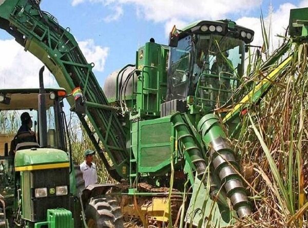 Falta de diésel pone en riesgo la zafra y la producción de etanol, advierten cañeros