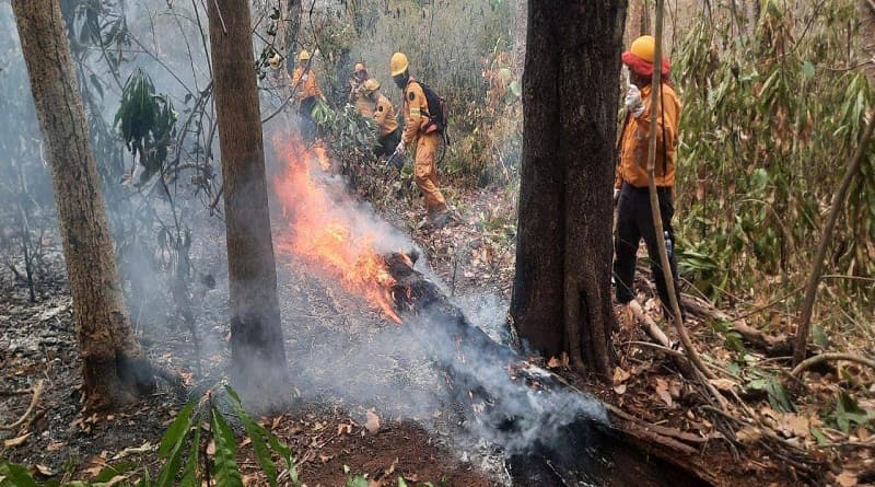 Todos exigen al Gobierno declarar desastre nacional por incendios