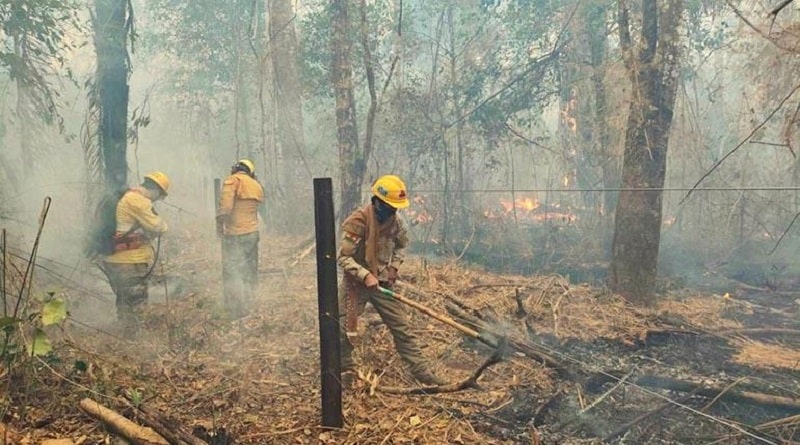 Incendios persisten y Gobierno anuncia envío de avión cisterna desde…