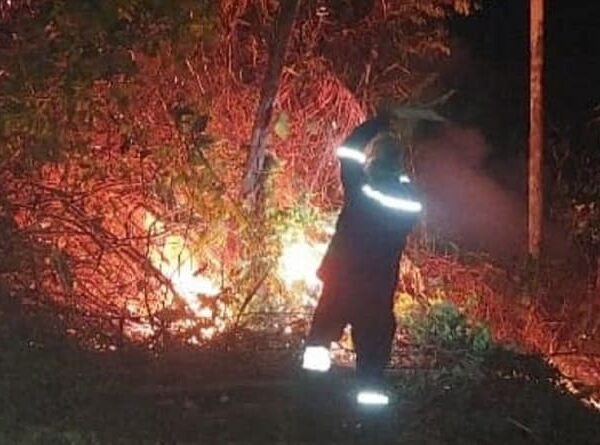 Envían a Palmasola a tres personas por provocar incendios en la reserva Bajo Paragúa