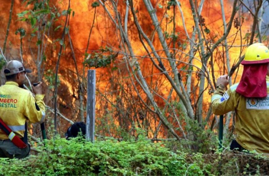 Comunidades enteras evacuan ante el peligro de los incendios en…