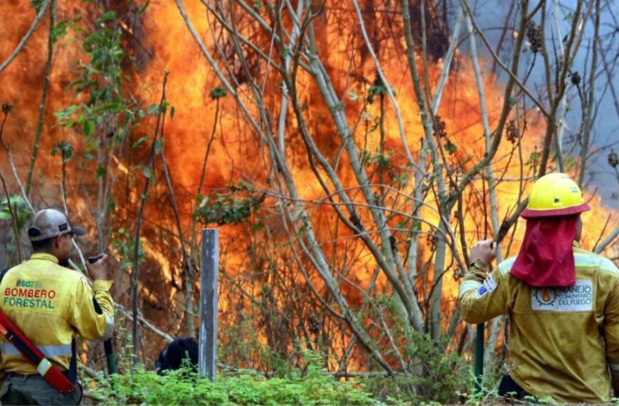 Santa Cruz vive “el mayor desastre ambiental” de su historia.