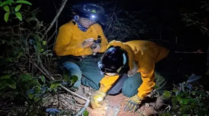 Bomberas y mujeres víctimas de incendios necesitan toallas higiénicas, ropa…