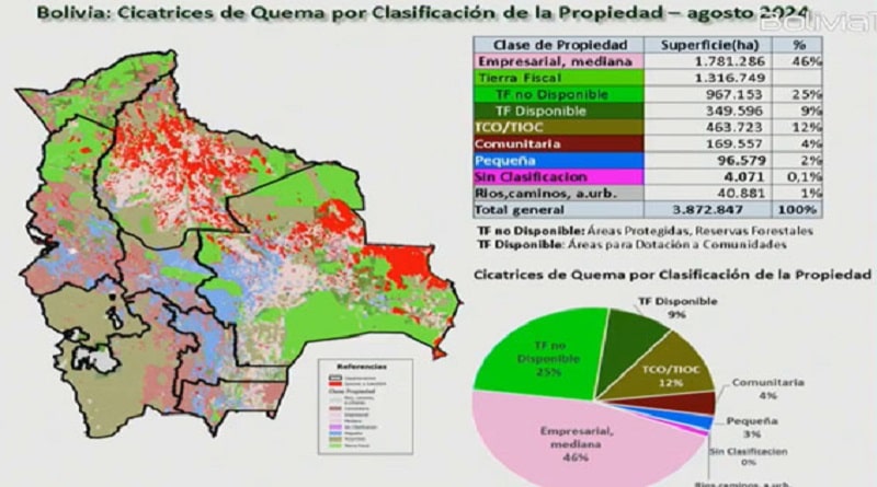 Según el INRA, superficie quemada llega a 3,8 millones de…