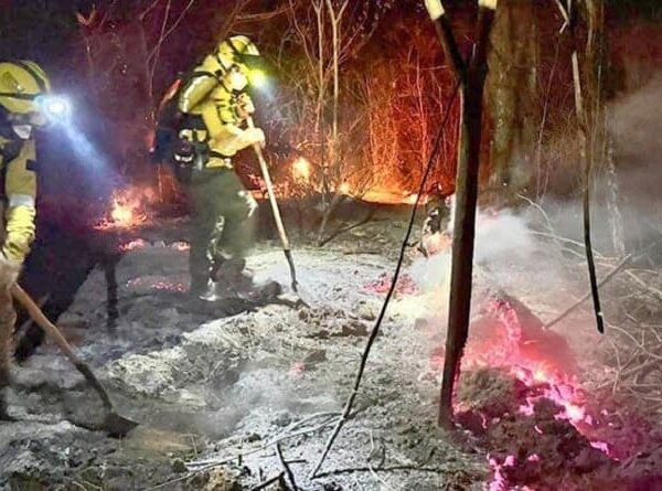 Defensor del pueblo evidencia devastación en la Chiquitanía