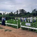 Exposoya reafirma innovación en prácticas sostenibles para elevar producción de alimentos