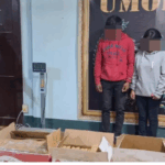 Incautan 168 paquetes de marihuana camuflados en cajas de fruta durante control en…